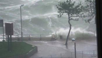   الصين تحذر المواطنين من إعصار "تاليم"