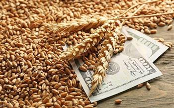   عقب انسحاب روسيا من «اتفاقية الحبوب».. ارتفاع أسعار القمح عالميا