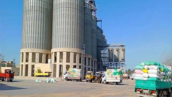 الدقهلية: توريد أكثر من 343 ألفا و392 طنا من القمح إلى الصوامع والشون