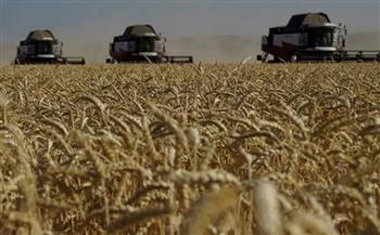   الولايات المتحدة تندد بانسحاب روسيا من اتفاق الحبوب وتحثها على التراجع