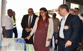 نائب محافظ البحيرة تتفقد عددا من المصانع بالمنطقة الصناعية بوادي النطرون