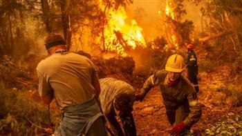   بولندا بصدد إرسال فرق إطفاء لمساعدة اليونان على احتواء حرائق الغابات