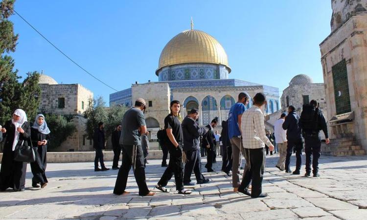 عشرات المُستوطنين يقتحمون باحات المسجد الأقصى بحماية شرطة الاحتلال