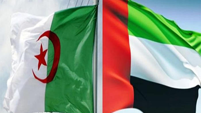 الإمارات تعزي الجزائر في ضحايا حادثة تمنراست المرورية