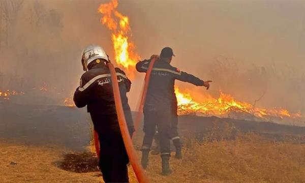 تونس: تقدم كبير في السيطرة على الحرائق بغابات ملولة