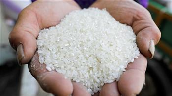 بمفعول فورى.. الهند تمنع تصدير الأرز الأبيض باستثناء "بسمتى"