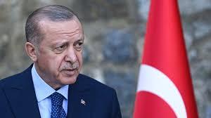   القاهرة الإخبارية: أردوغان يناقش مع زيلينسكي تفاصيل تمديد صفقة الحبوب