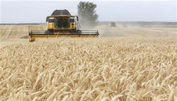    أبو اليزيد: بدائل اتفاقية تصدير الحبوب الأوكرانية ستكون صعبة