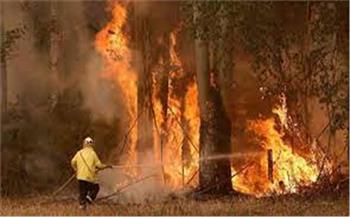   بريطانيا ترسل فريق انتشار سريع إلى اليونان في ظل انتشار حرائق الغابات