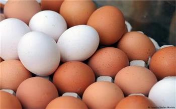   حافظ على صحتك.. تعرف على فوائد تناول البيض في روتين يومك