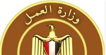 وزارة العمل: تدريب الشباب على مهنة تصنيع الأسماك بالأسكندرية