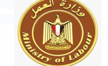 وزارة العمل: "إعانات الطوارئ" يدعم شركة متعثرة بالقليوبية