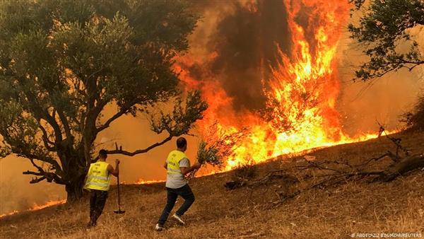 الحكومة التونسية تشكل خلية أزمة لمتابعة انتشار الحرائق بولاية جندوبة