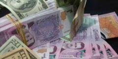 سعر الدولار يوم الثلاثاء 25_7_2023