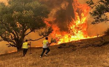   مصرع 15 شخصا وإصابة 26 جراء حرائق الغابات بالجزائر