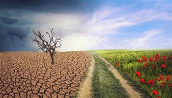   أستاذ الدراسات البيئية: 40% من المحاصيل الزراعية ستتأثر بالتغيرات المناخية