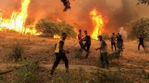   الجزائر.. ارتفاع حصيلة ضحايا الحرائق إلى 34 شخصا بينهم 10 عسكريين