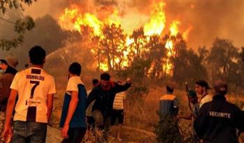   الخارجية الفلسطينية تعزي بضحايا الحرائق في الجزائر