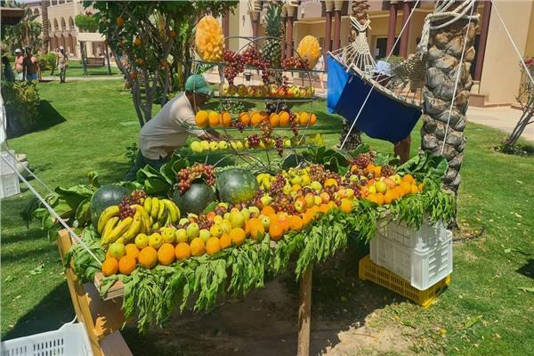 "مهرجان الفواكه" لتنشيط ودعم السياحة في الغردقة