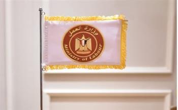 وزارة العمل تعلن إلغاء وإيقاف نشاط  14 شركة إلحاق عمالة بالخارج