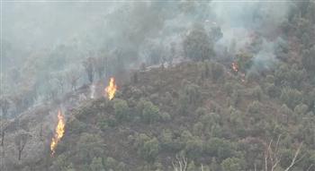   الجزائر تعلن إخماد جميع حرائق الغابات