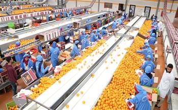   وزير الزراعة: الصادرات الزراعية تتجاوز 5 ملايين طن لأول مرة منذ بداية العام