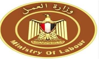 وزارة العمل: بدء دورة تدريبية مجانية في "الطاقة الشمسية" لشباب قنا 
