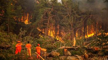   اليونان تفرض حظرًا حول قاعدة جوية عسكرية بسبب حرائق الغابات