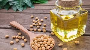 علماء يتوصلون لتأثير الاستهلاك الزائد لزيت الصويا على الأمعاء  