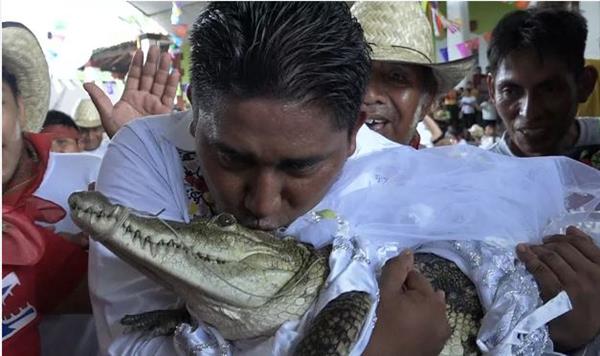 في حفل تقليدي.. مسئول مكسيكي يتزوج "أنثى تمساح"