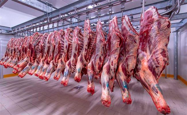 بأسعار 130 جنيها.. التنين تطرح ا طازجة ومجمدة بمنافذ المجمعات