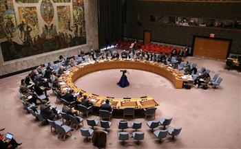   مجلس الأمن يشدد على ضرورة استعادة النظام الدستوري في النيجر