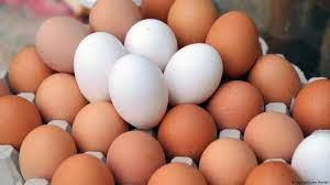   استقرار أسعار البيض اليوم في الأسواق