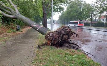   مصرع وإصابة 4 أشخاص في هولندا وألمانيا جراء العاصفة "بولي"