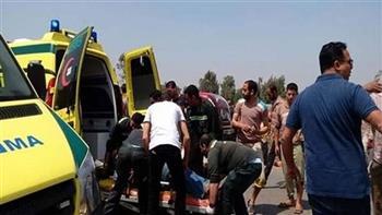 إصابة سيدة وطفلين فى حادث تصادم بطريق طنطا- زفتى