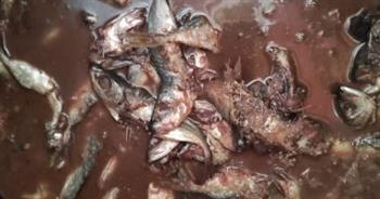   ضبط 6 أطنان لحوم ودواجن وأسماك غير صالحة في حملات بيطرية بالمنوفية