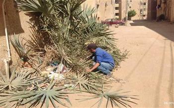 حملات مكثفة لنظافة الأحياء السكنية بالخارجة في الوادي الجديد