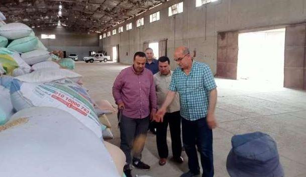 تموين الدقهلية: توريد أكثر من 342 ألفا و193 طنا من محصول القمح
