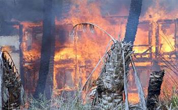   السيطرة على حريق فى مزرعة ماشية بقرية الدير في بنى سويف