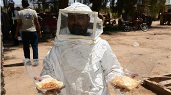    قنا تتوسع في مشروع تربية النحل وإنتاج العسل