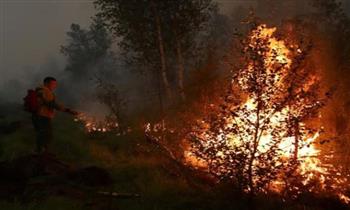   روسيا: تسجيل نحو 102 حريق في غابات مقاطعة ماجادان خلال يوم واحد