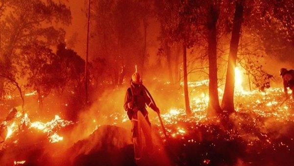 ارتفاع حصيلة ضحايا حرائق الغابات في هاواي إلى 55 شخصًا