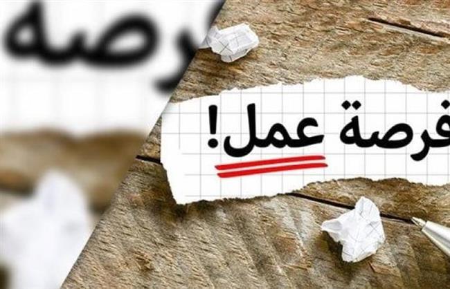 الشروط والمؤهل.. وزارة العمل تعلن عن 250 وظيفة جديدة للشباب