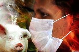   منظمة الصحة العالمية تعلن تسجيل إصابة بانفلونزا الخنازير في الولايات المتحدة