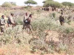    الصومال: مقتل 7 إرهابيين وإصابة آخرين في منطقة "جناي عبدله" 