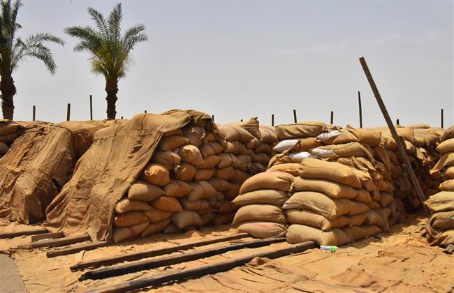 أسيوط.. ارتفاع معدلات توريد القمح المحلي بالمحافظة