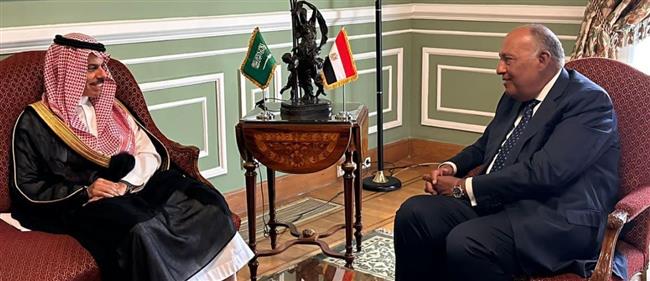 وزير الخارجية يعقد اجتماعا مع نظيره السعودي