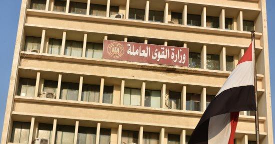 مديرية العمل بالوادي الجديد: حصر وتسجيل العمالة غير المنتظمة بالمشروعات القومية الكبرى