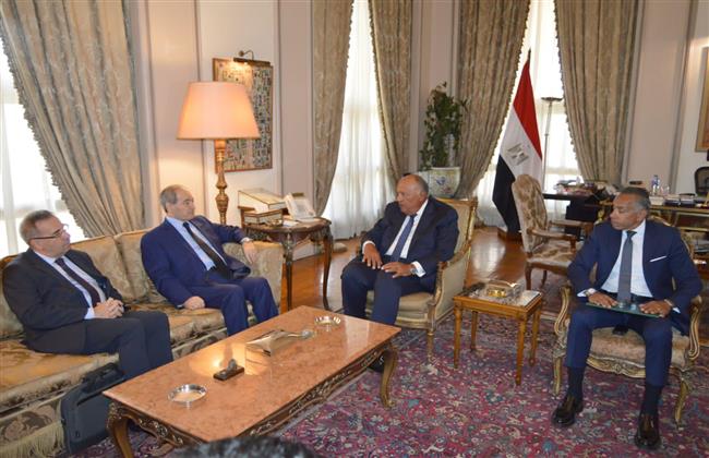 وزير الخارجية يبحث مع نظيره السورى سبل حل الأزمة السورية