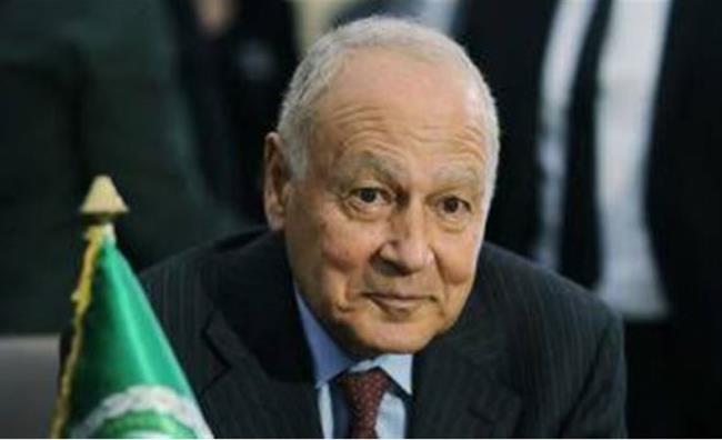 أبو الغيط يؤكد أهمية تجديد العمل بمبادرة البحر الأسود للحبوب